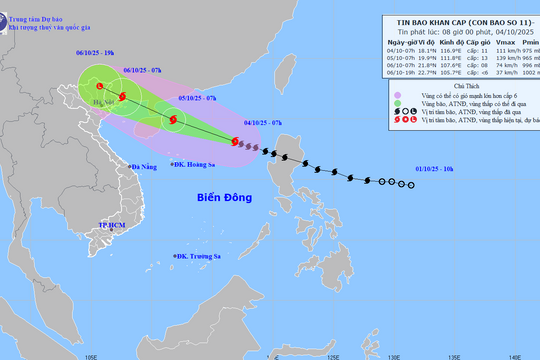 Chủ động ứng phó bão số 11: Triển khai đồng bộ các biện pháp ứng phó hình thái thiên tai kép
