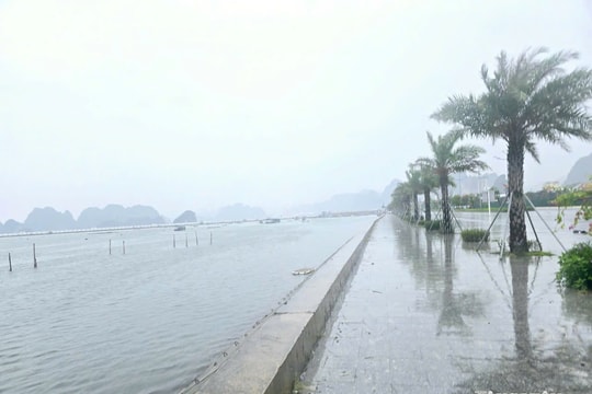 Mưa cực lớn, gió giật cấp 12 đe dọa Bắc Bộ