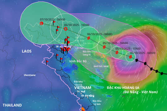 Ninh Bình chủ động triển khai phương án ứng phó bão số 11