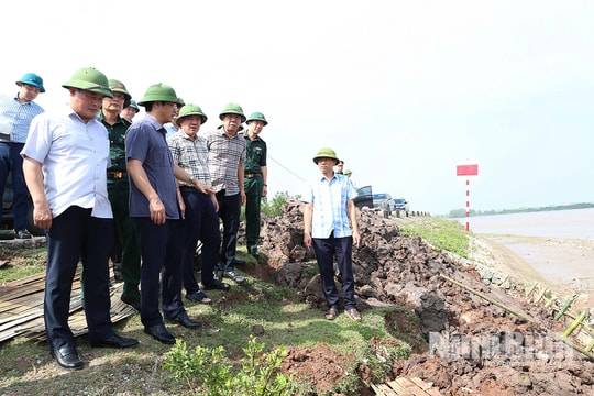 Công tác chuẩn bị ứng phó với bão số 11 (Matmo) tại Ninh Bình