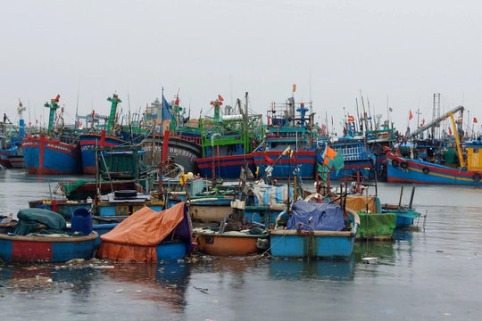 Tàu cá Gia Lai bị tàu chở dầu đâm chìm trên biển, thuyền trưởng mất tích