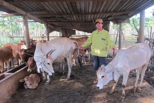 Bà Rịa – Vũng Tàu hoàn thành mục tiêu giảm nghèo sớm hơn kế hoạch