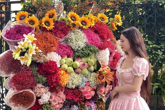 Đường phố Hà Nội rộn ràng sắc thu, 'nàng thơ' đổ về check-in