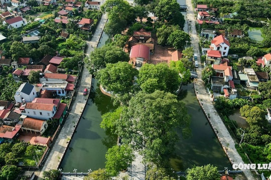 Đền Trần Thương – Từ kho lương thời Trần đến di tích quốc gia đặc biệt