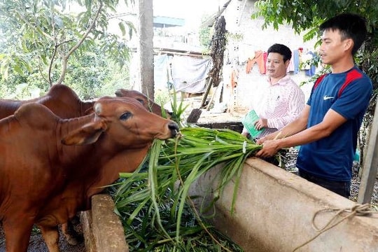 Phú Thọ: Hơn 306 tỷ đồng thực hiện mục tiêu giảm nghèo bền vững năm 2025