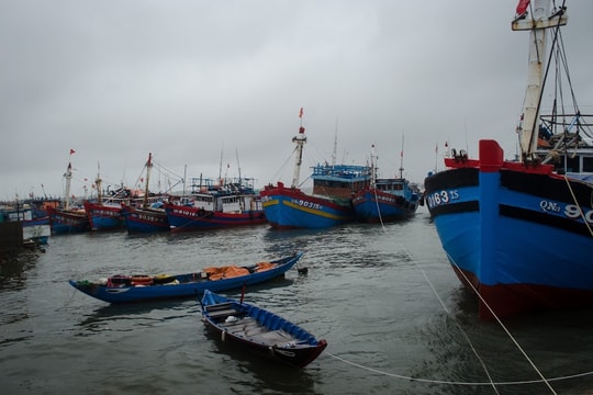 Vụ tàu cá Gia Lai chở 11 ngư dân bị đâm chìm trên biển: Tìm thấy thi thể thuyền trưởng