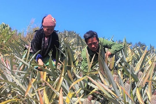 Điện Biên: Hướng mục tiêu giảm nghèo thực chất, ngăn chặn tái nghèo