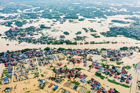 Cấp bách chung tay phục hồi sinh kế sau thiên tai