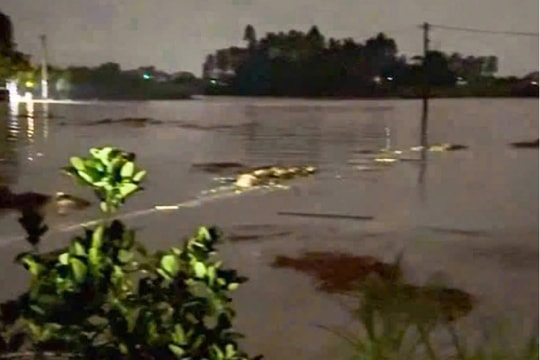 Bắc Ninh: Vỡ đê bối trong đêm, hàng trăm người dân được di dời khẩn cấp