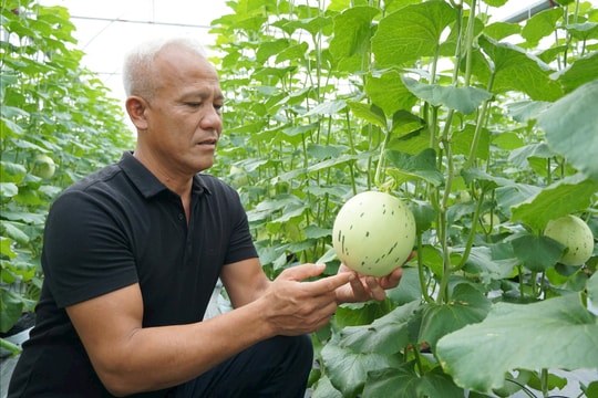 Doanh nhân Bùi Văn Phương: Dám “chọn việc khó” để làm chủ cuộc chơi nông sản