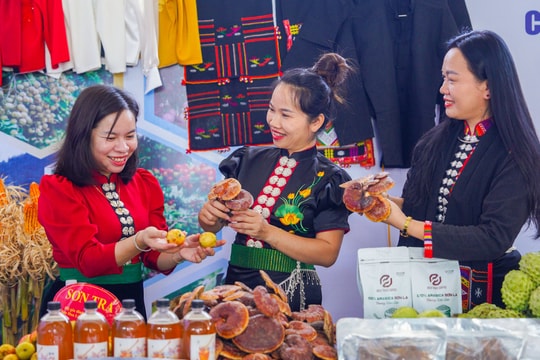 Sắc màu nông sản Tây Bắc hội tụ tại Sơn La