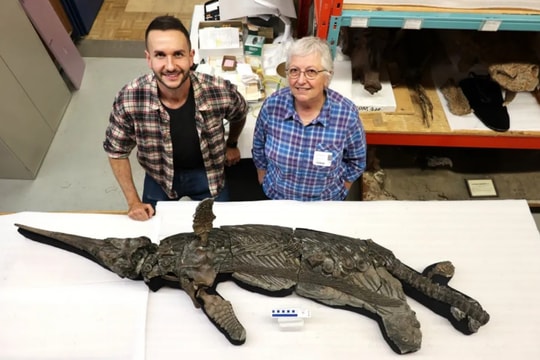 Phát hiện 'rồng biển' mõm kiếm 193 triệu năm tuổi ở Anh