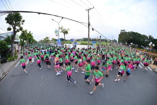 12.000 vận động viên hòa sắc hồng giữa ngày hội tại Đồng Tháp