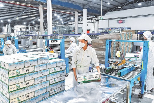 Doanh nhân, doanh nghiệp dân tộc là 'chiến sĩ trên mặt trận kinh tế'