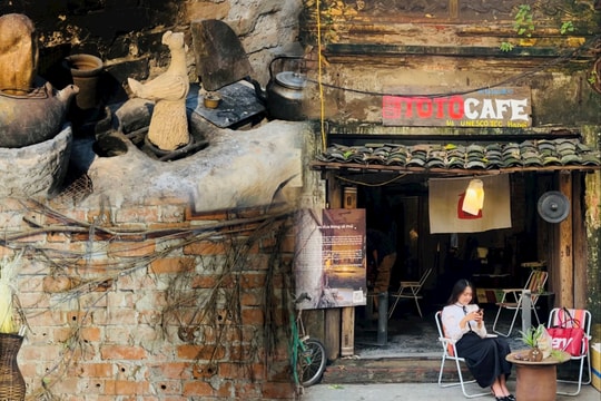 Hà Nội: Độc đáo 'ngôi nhà rừng' giữa phố