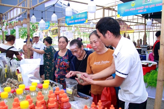 Hà Nội đặt mục tiêu có 30 sản phẩm OCOP 5 sao