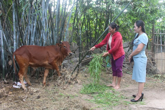 Bắc Ninh nỗ lực giảm nghèo, thúc đẩy chuyển đổi số, đảm bảo an sinh