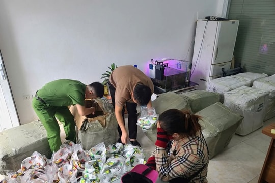 Triệt xóa đường dây tiêu thụ đồ chơi thể thao 'nhái' thương hiệu Việt