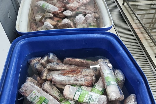 Khởi tố nhóm đối tượng bơm phụ phẩm vào thịt trâu 'phù phép' thành thịt bò WAGYU