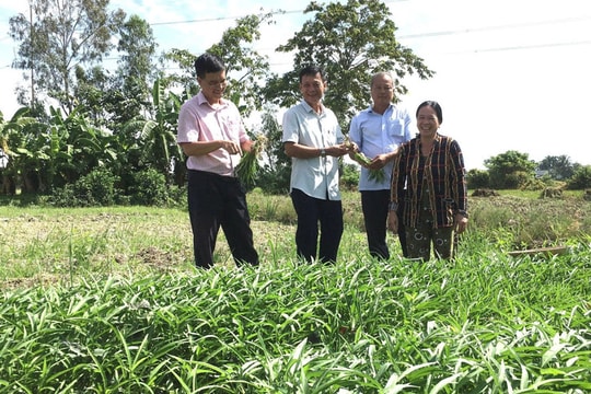 Cần Thơ quyết tâm giảm tỷ lệ hộ nghèo xuống còn 0,63% vào cuối năm 2025