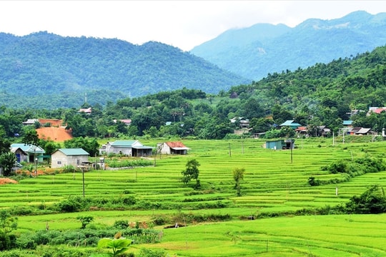Nghệ An tăng cường giám sát, quyết liệt triển khai Chương trình MTQG giảm nghèo bền vững năm 2025