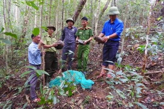Gia Lai: Thả 4 cá thể động vật quý hiếm về môi trường tự nhiên