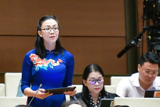 Sáp nhập đại học là 'cú hích chiến lược' kịp thời, không phải 'giải pháp tình thế'