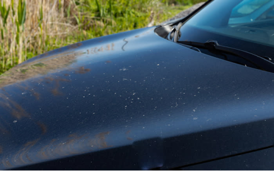 Có thể sử dụng giấm cho sơn xe để giải quyết vấn đề thường gặp liên quan đến thời tiết này không?