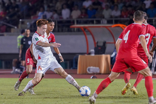 Việt Nam được dự báo sẽ cải thiện thứ hạng FIFA