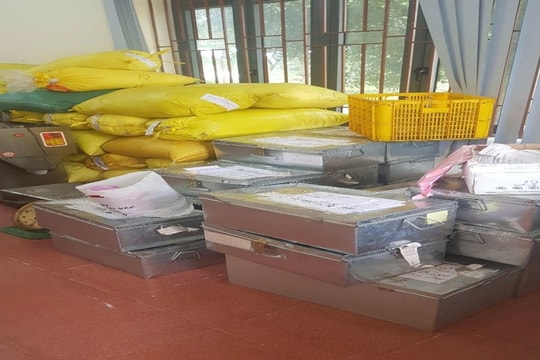 Bắt khẩn cấp nhóm đối tượng sản xuất cà phê từ 100% đậu nành