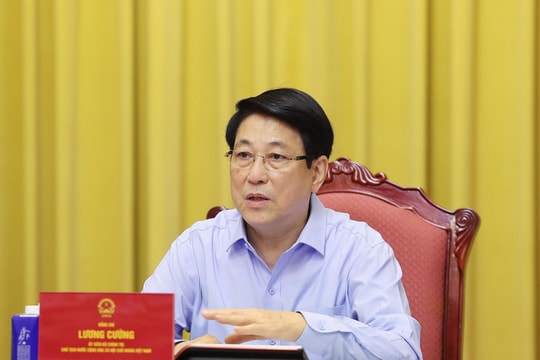 Chủ tịch nước làm việc về công tác chuẩn bị cho Lễ mở ký Công ước Hà Nội