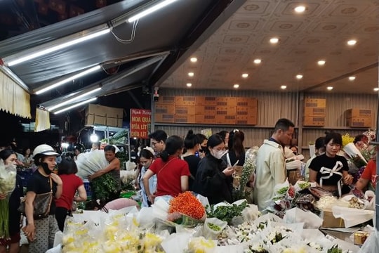Chợ hoa Quảng An sôi động trở lại sau bão, tiểu thương “chạy đua” gom hàng cho dịp 20/10