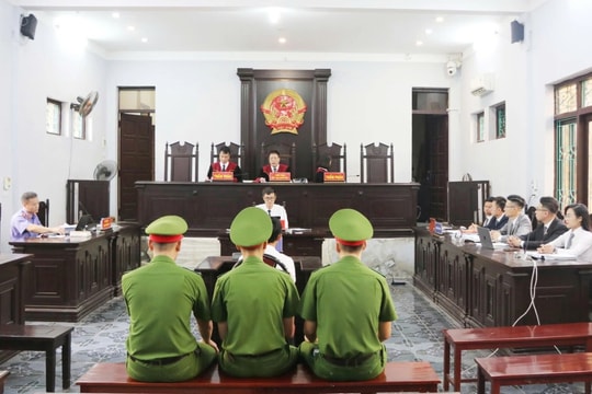 Người bán gà lôi trắng được tuyên miễn trách nhiệm hình sự, thả tự do ngay tại tòa