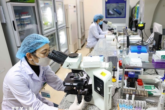 Cơ sở công lập được góp vốn bằng tài sản trí tuệ: Bước đột phá từ Nghị định mới