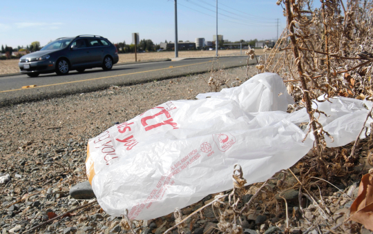 California kiện các nhà sản xuất túi nhựa vì quảng cáo sai về khả năng tái chế