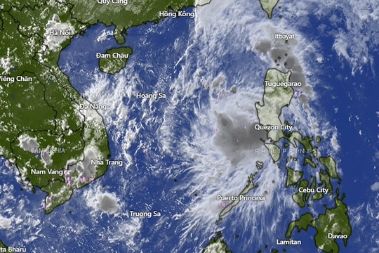 Biển Đông đón bão số 12, gió giật cấp 11
