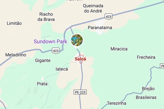 Ít nhất 15 người thiệt mạng sau vụ xe buýt lật ở Brazil