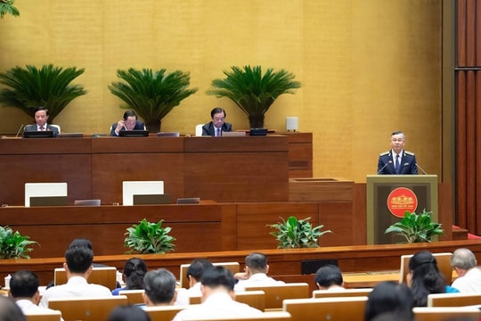 Tập trung kiểm toán các lĩnh vực có rủi ro thất thu, gian lận cao