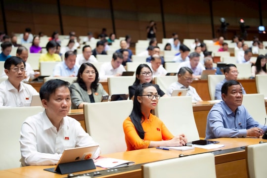 Kiên quyết, kiên trì chống oan sai, bỏ lọt tội phạm