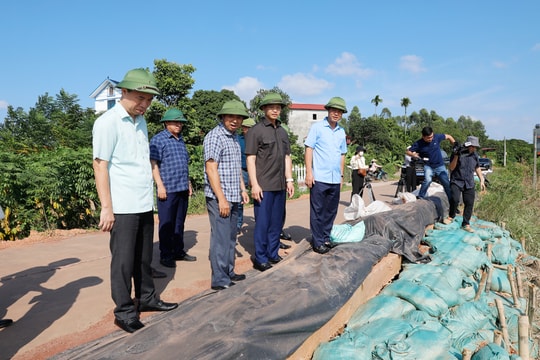 Bắc Ninh: Tập trung rà soát, xây dựng kế hoạch cải tạo, nâng cấp, khắc phục, sửa chữa hệ thống đê điều