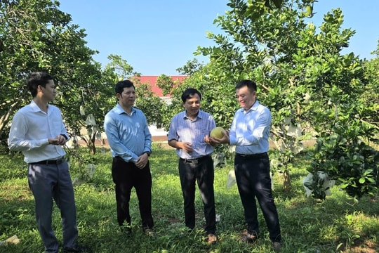 Nghệ An hướng đến giảm nghèo thực chất và bền vững