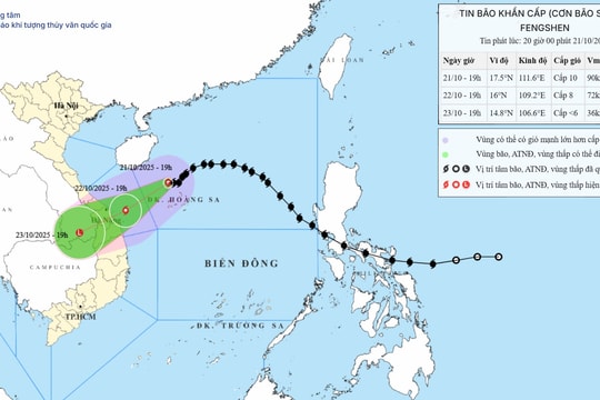 Dự báo thời tiết ngày 22/10: Quảng Trị đến Đà Nẵng mưa rất lớn, gió mạnh