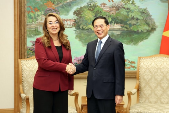 Việt Nam mong muốn UNODC đồng hành trong thúc đẩy ký kết Công ước LHQ về chống tội phạm mạng