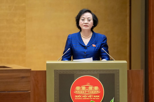 Cơ cấu lại, nâng cao chất lượng đội ngũ viên chức