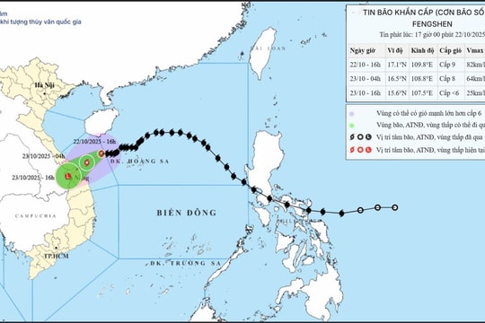 Đình hoãn các cuộc họp không cấp bách để tập trung ứng phó bão số 12, mưa lũ, ngập lụt