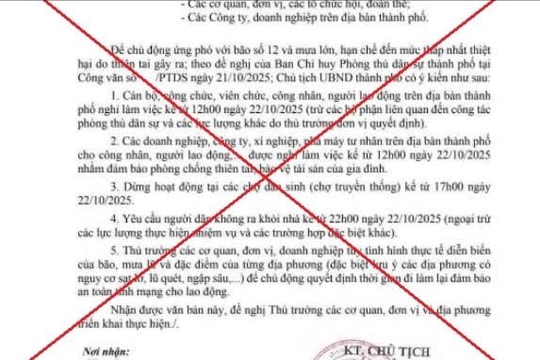 Đà Nẵng: Thông tin “nghỉ làm việc, dừng hoạt động chợ” do bão số 12 là giả mạo