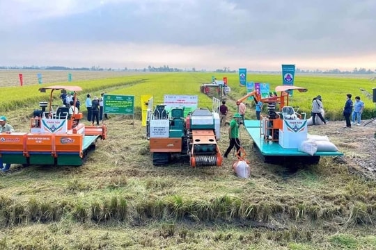 Giảm phát thải trong trồng trọt: Đường dài cần cơ chế vững