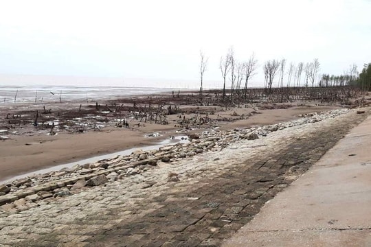 Báo cáo Thủ tướng về 2 dự án bảo vệ sạt lở bờ biển Gò Công trong tháng 11/2025
