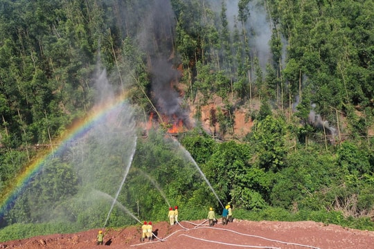 Bắc Ninh: Cảnh báo nguy cơ cháy rừng cấp cao, tăng cường biện pháp ứng phó
