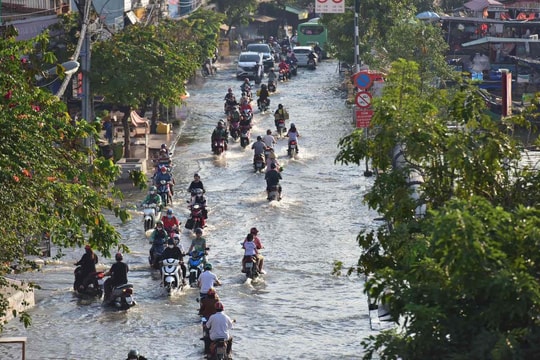 Dự báo thời tiết ngày 24/10: TP HCM có mưa rào kết hợp triều cường